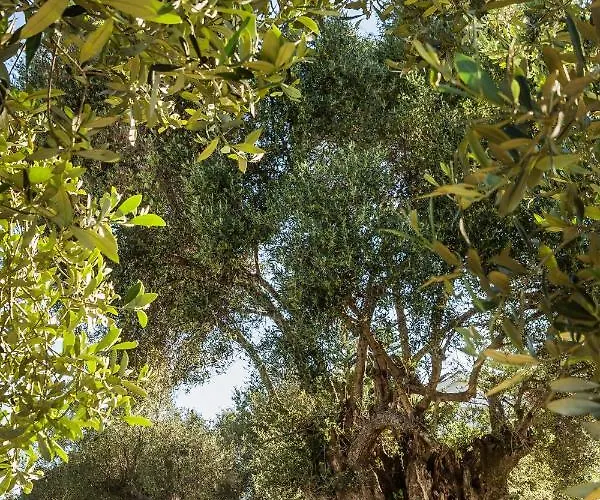 Βίλα Laoura Σβορωνάτα