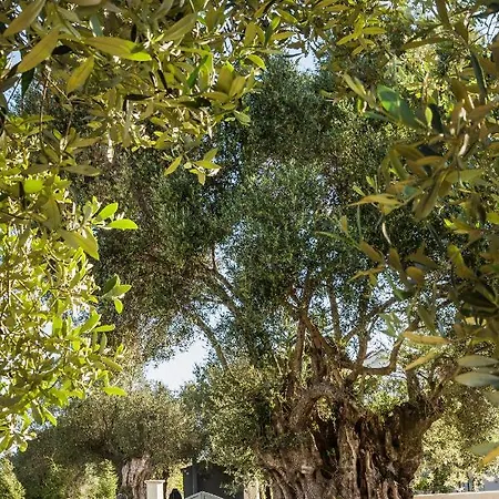 Villa Laoura Svoronata
